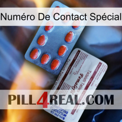 Numéro De Contact Spécial 36